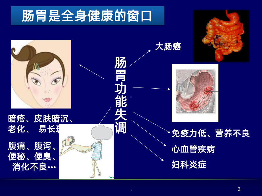 肠道健康PPT课件.ppt_第3页