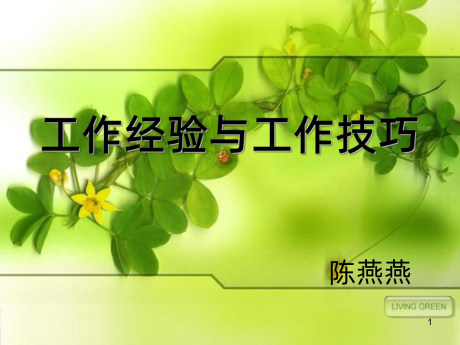 工作经验与工作技巧-PPT课件.ppt_第1页