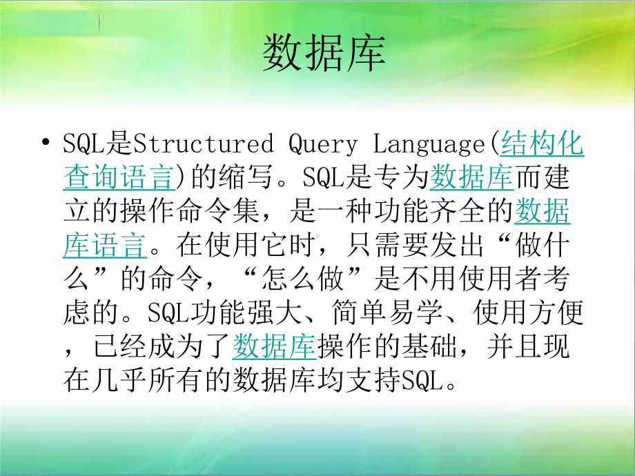 11SQLite数据库精品PPT课件.ppt_第2页