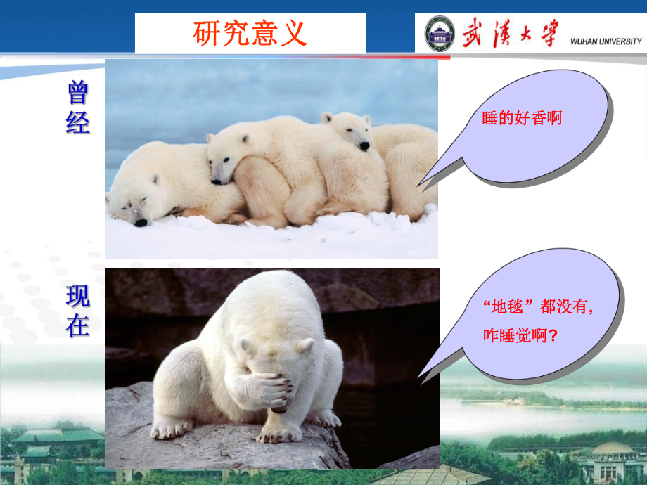 二氧化碳储藏ppt课件.ppt_第3页