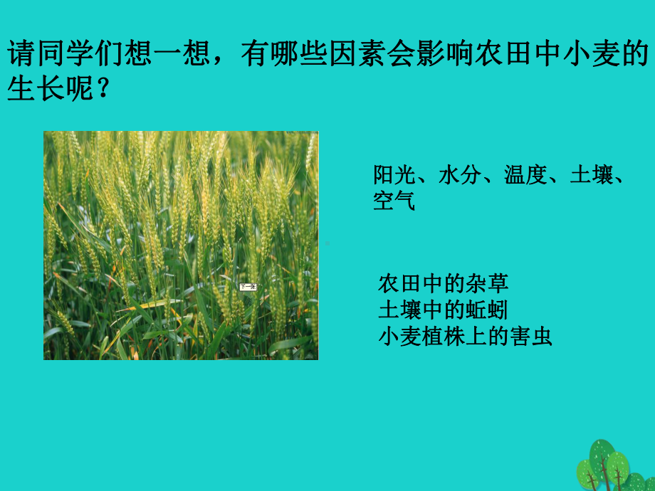 七年级生物上册1.1.2生物与环境的相互影响课件.ppt_第3页