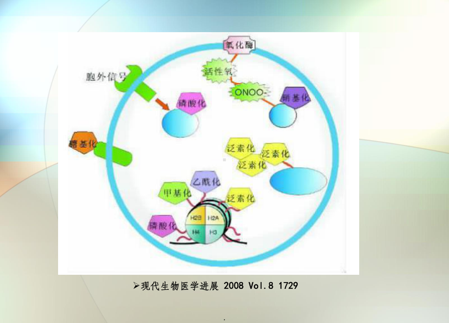 蛋白质翻译后修饰ppt课件.ppt_第1页