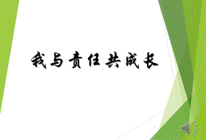 主题班会《责任与担当》主题班会ppt课件.ppt