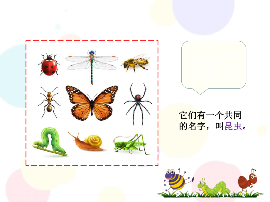 幼小衔接课件科学认识昆虫课件.ppt_第2页