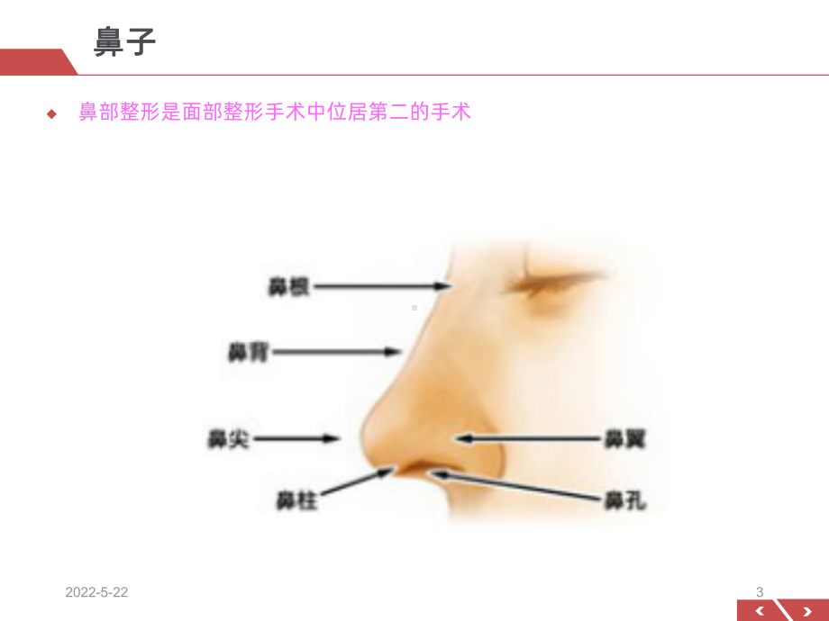 隆鼻术PPT课件.ppt_第3页