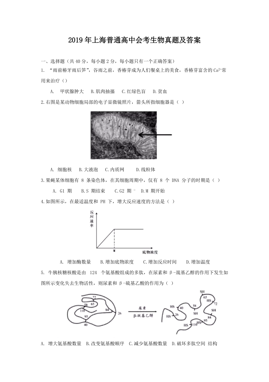 2019年上海普通高中会考生物真题及答案.doc_第1页