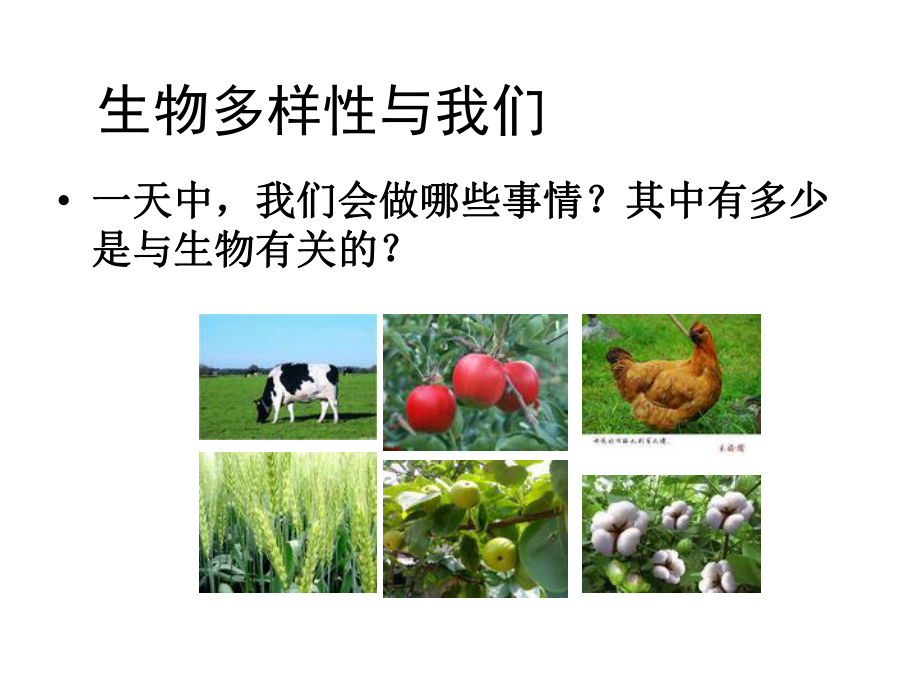 《生物多样性的意义》课件说课讲解.ppt_第2页