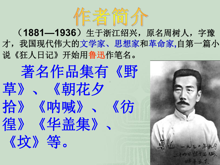 九年级语文《故乡》教学课件人教版.ppt_第3页