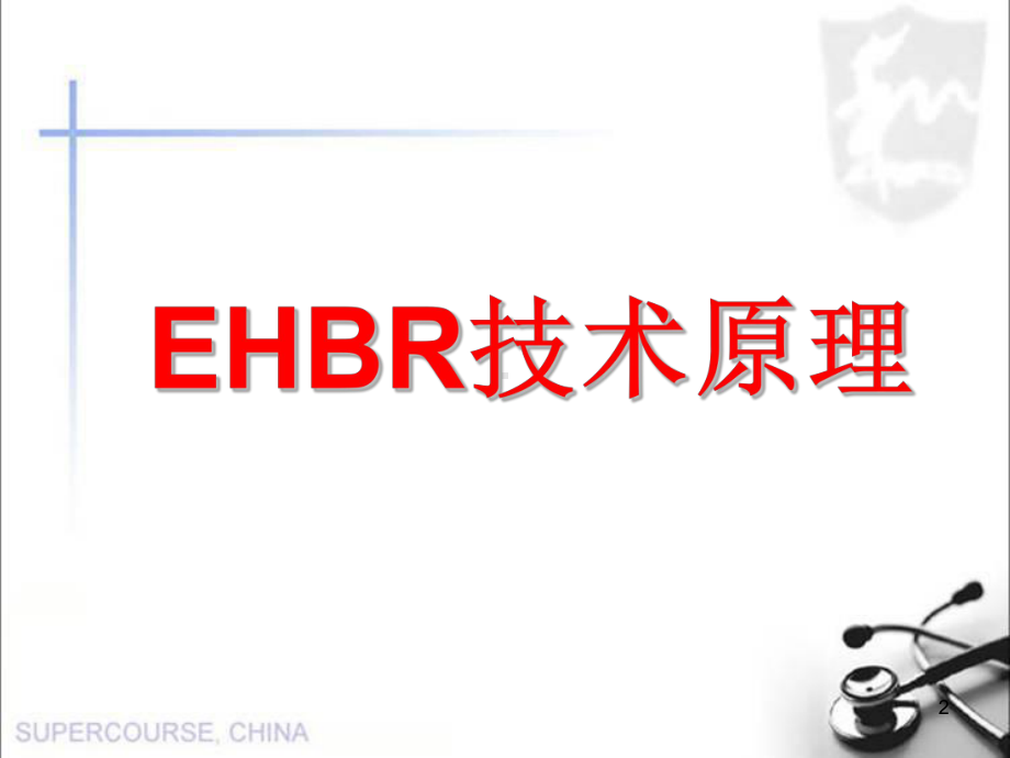 EHBR黑臭水体治理ppt课件.ppt_第2页