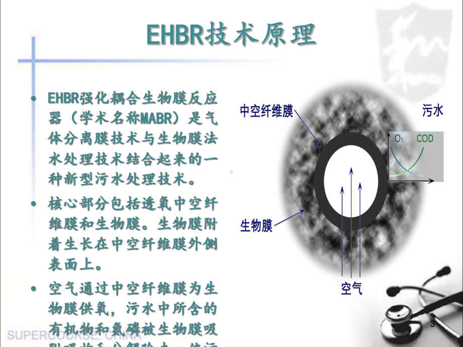 EHBR黑臭水体治理ppt课件.ppt_第3页