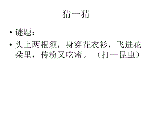 美术教程蝴蝶PPT课件.ppt