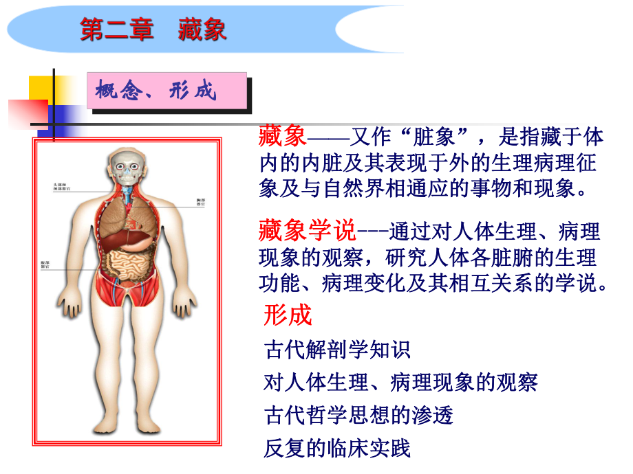 藏象课件PPT课件.ppt_第1页