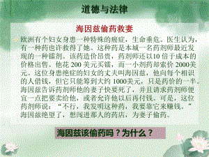 《职业道德与法律课件》六课弘扬法治精神建设法治国.ppt