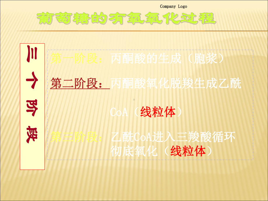 （课件）生物化学第四章2PPT.ppt_第3页