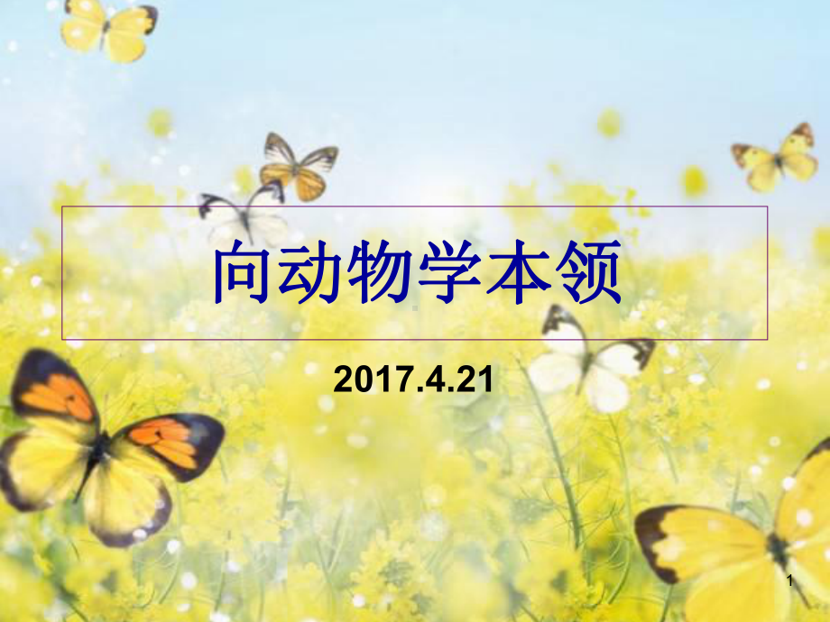 动物给我们的启示PPT课件.ppt_第1页