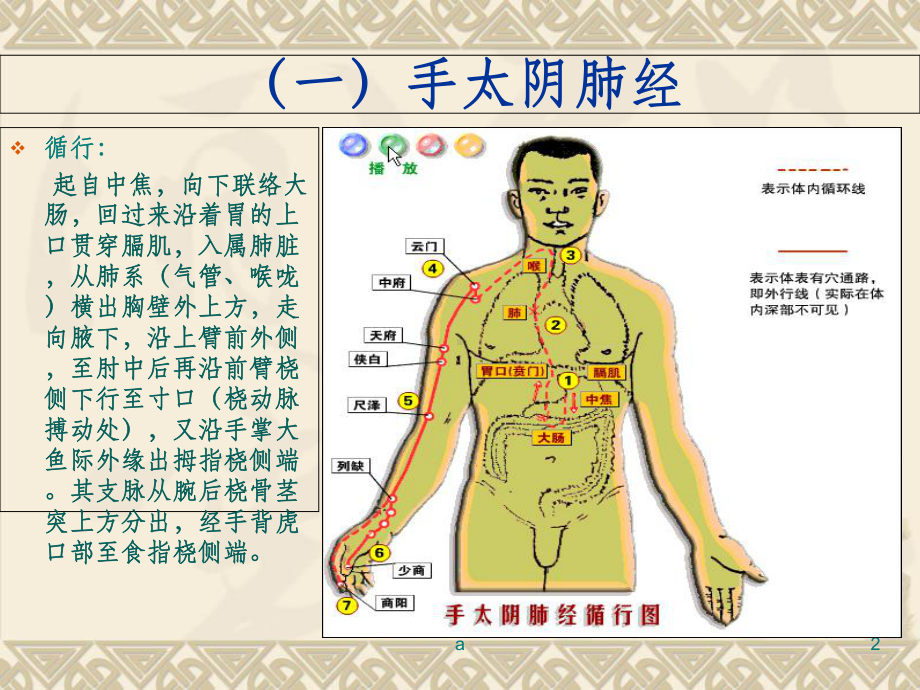 常用腧穴课件.ppt_第2页