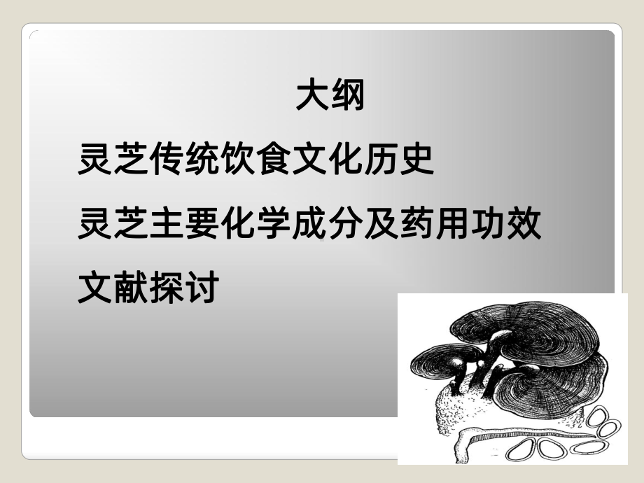 灵芝PPT课件.ppt_第2页