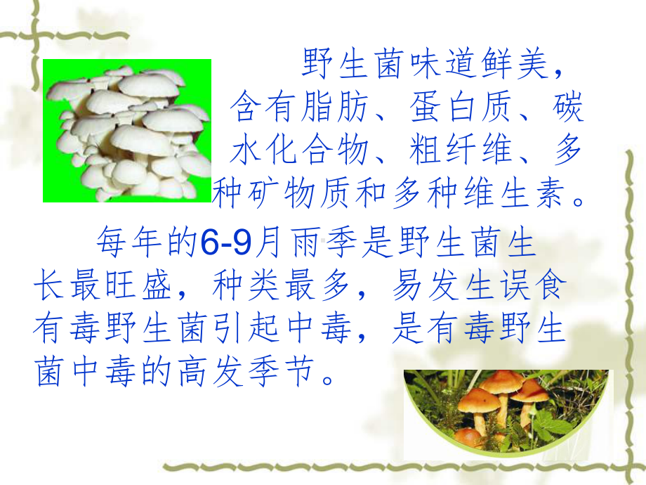 野生菌中毒预防知识ppt课件(同名410).ppt_第3页