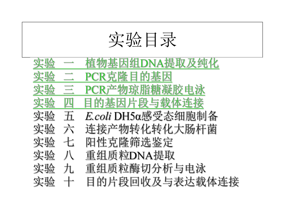 分子生物学实验ppt课件.ppt_第1页