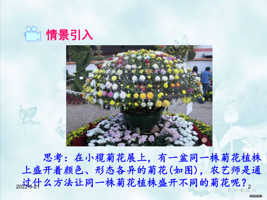 植物的生殖PPT课件.ppt_第2页