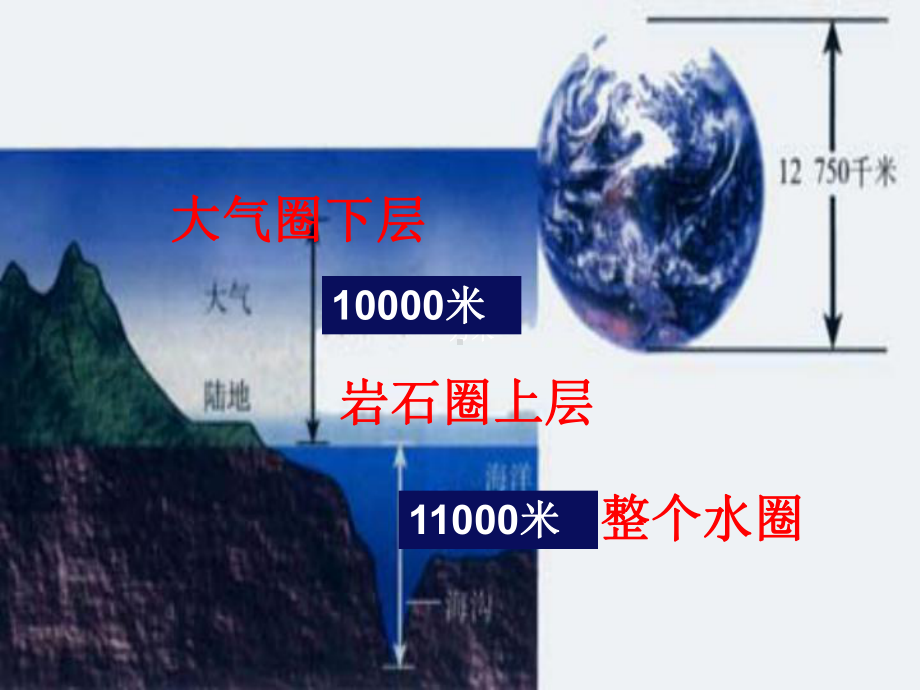 七年级生物上册1.1.1形形色色的生物课件北师大.ppt_第2页