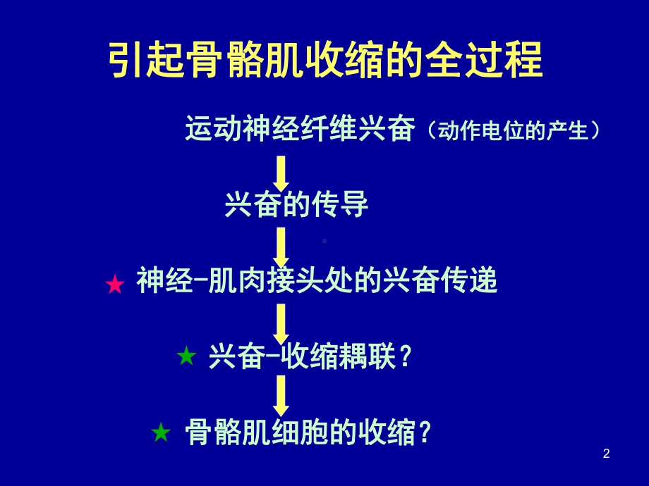 骨骼肌生理ppt课件.ppt_第2页