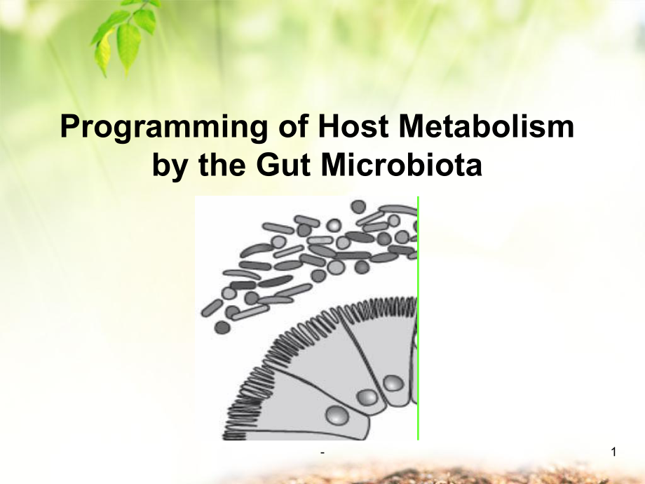 肠道微生物PPT课件.ppt_第1页