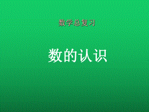 人教版六年级下册数学总复习《数的认识》课件ppt.ppt