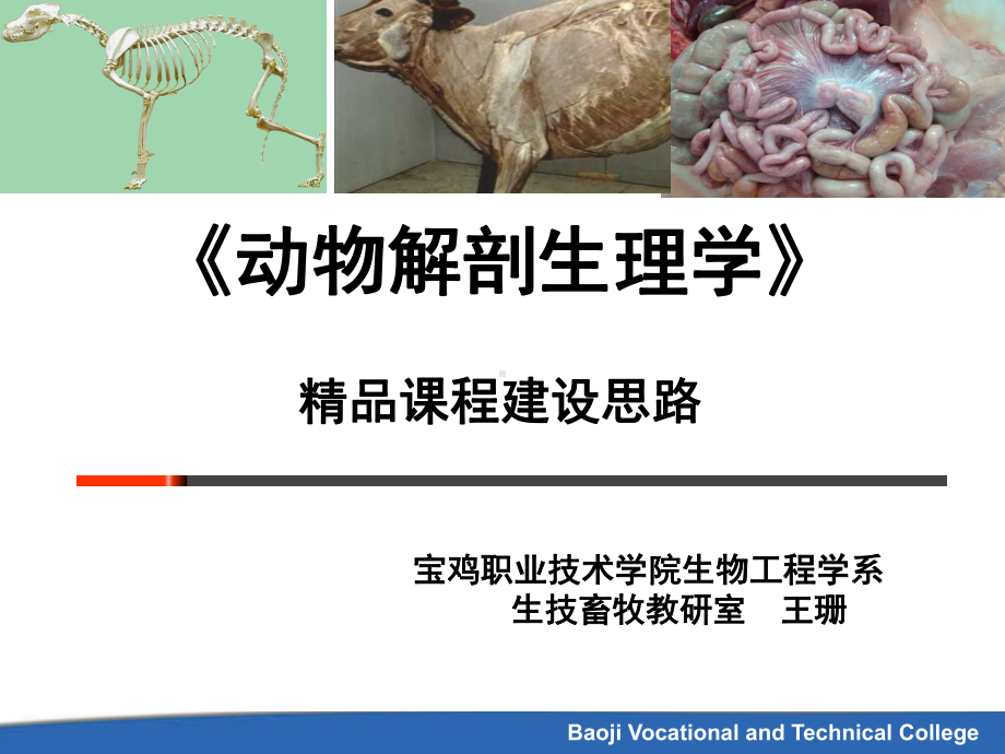 动物解剖生理学PPT课件.ppt_第1页