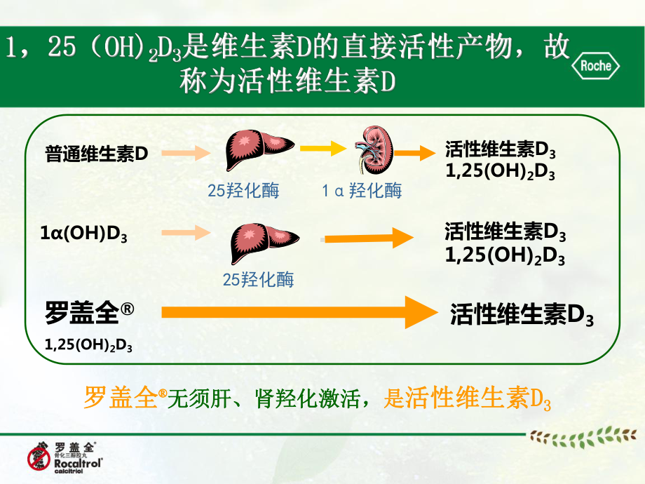 同D不同质不同维生素D制剂的区别课件.ppt_第3页