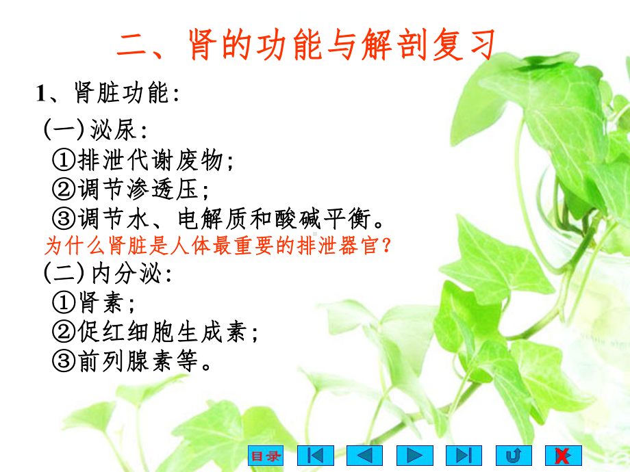 生理学-第八章-尿生成ppt课件.ppt_第3页