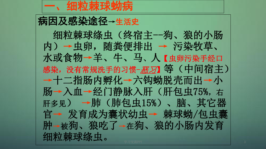 肝包虫病ppt课件.ppt_第3页