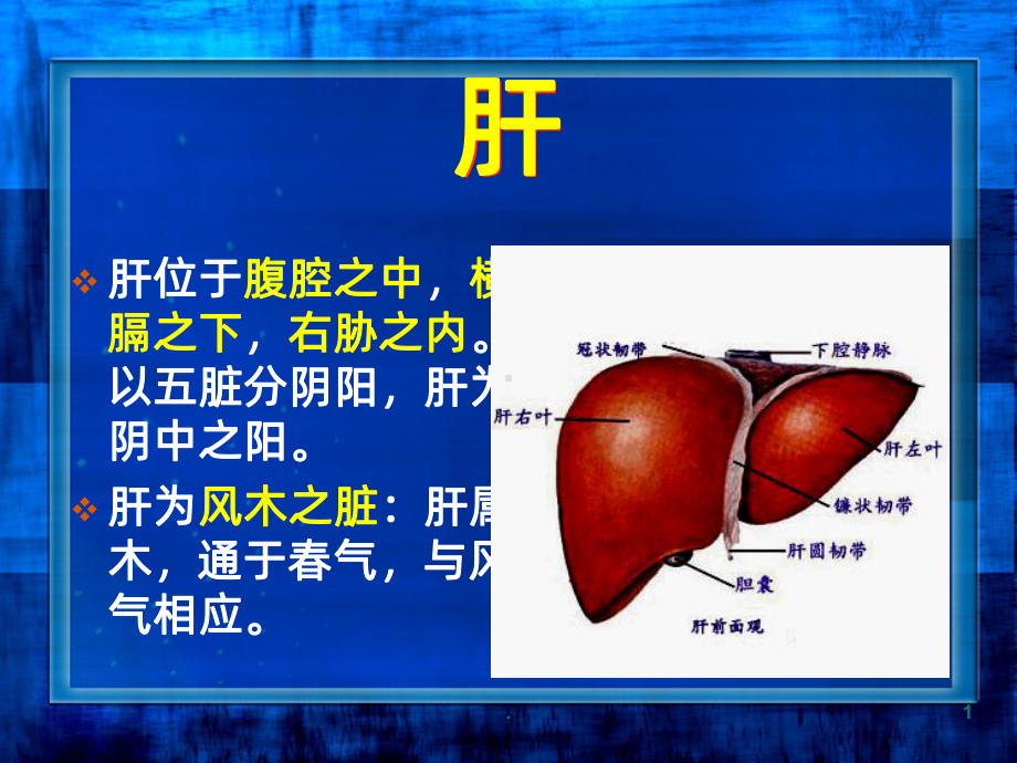 脏象五脏肝PPT课件.ppt_第1页