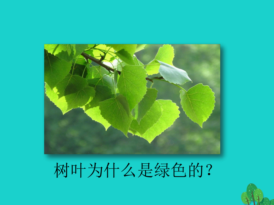 七年级生物上册1.1.4学习探究课件冀教版.ppt_第3页