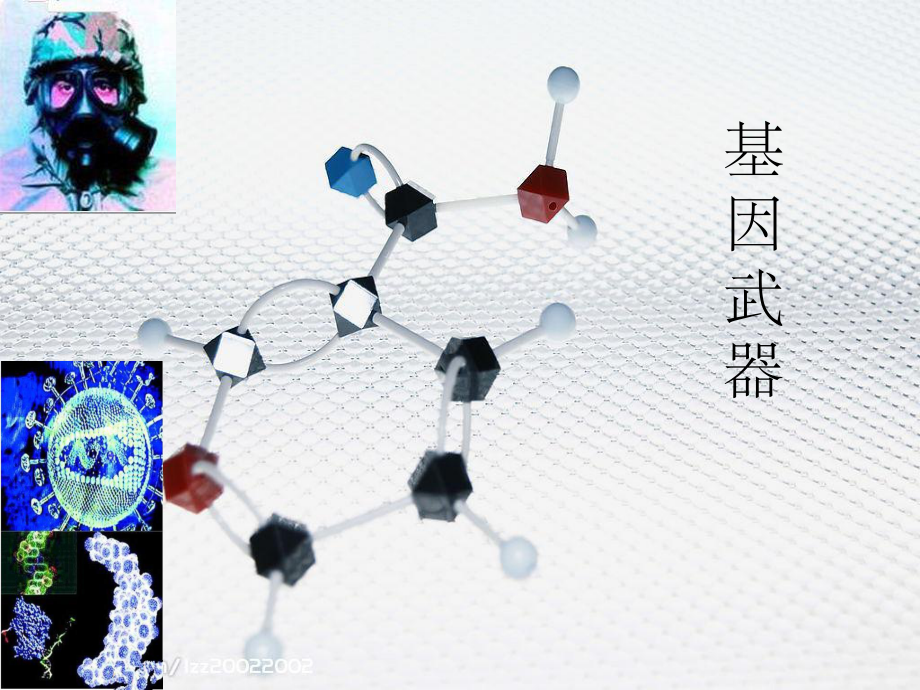 基因武器ppt课件.ppt_第1页