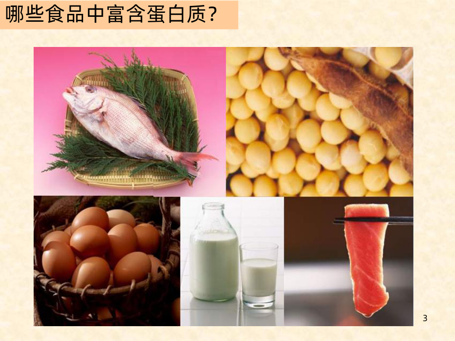 细胞中的蛋白质PPT课件.ppt_第3页