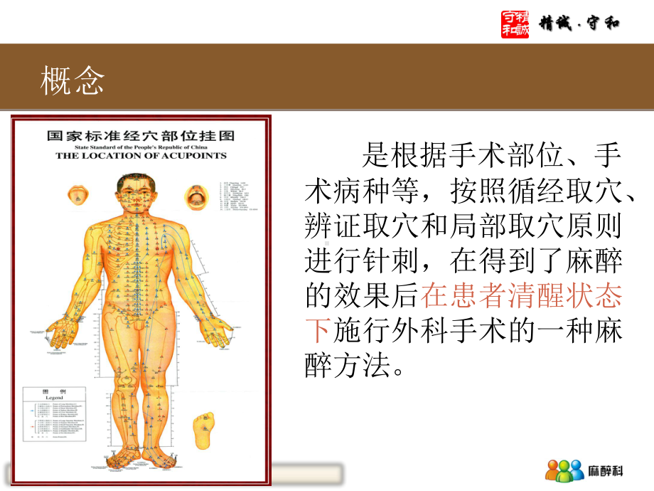 针灸麻醉PPT课件.ppt_第2页