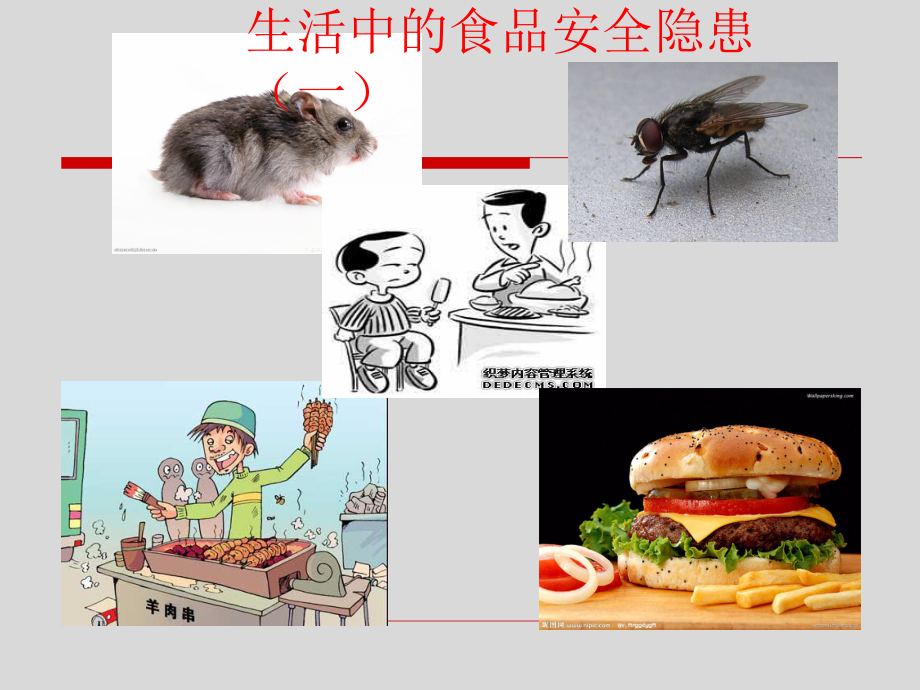 大班食品安全课件.ppt_第3页