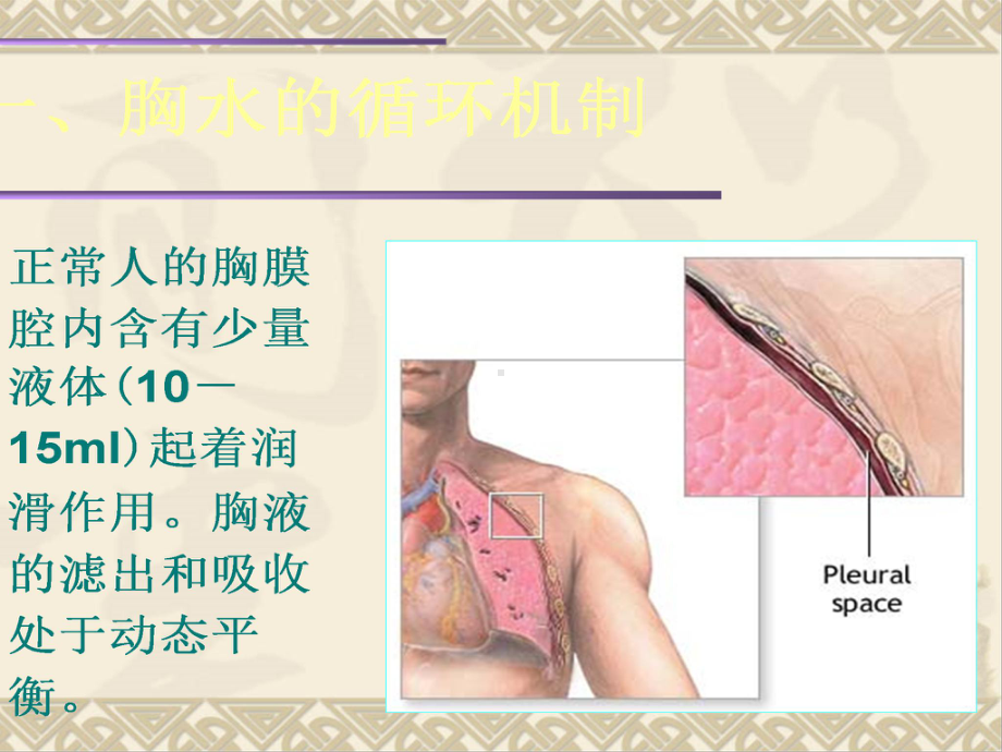 胸水PPT课件.ppt_第3页