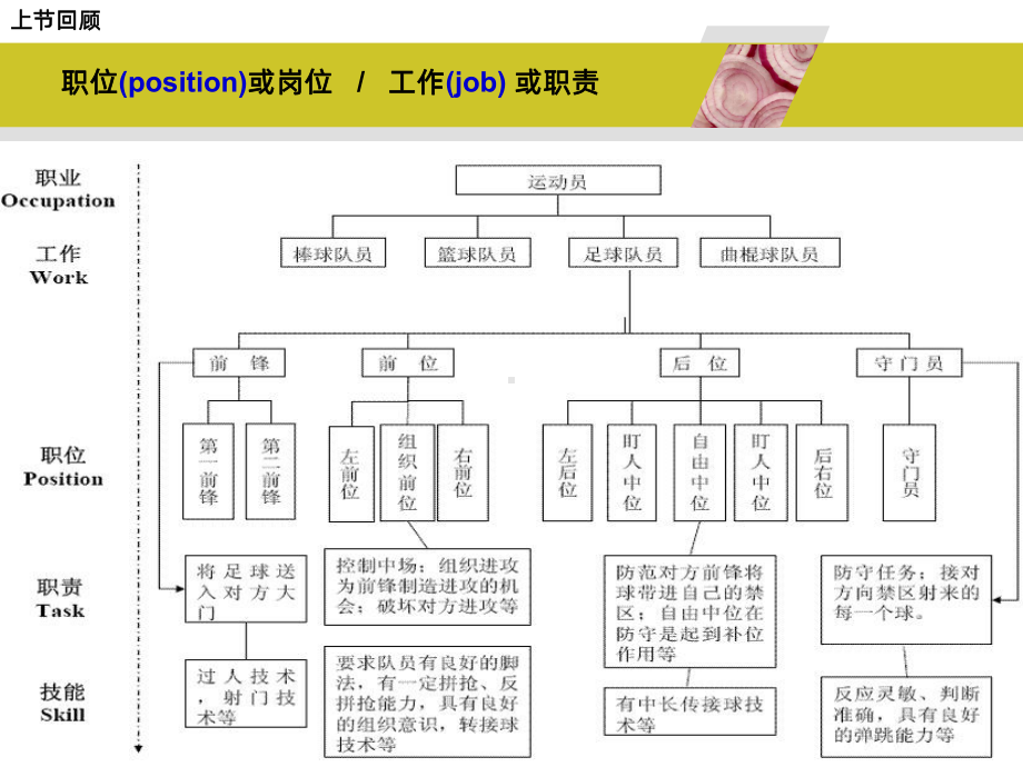 职业决策PPT课件.ppt_第2页