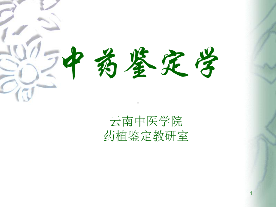 中药鉴定学PPT课件.ppt_第1页