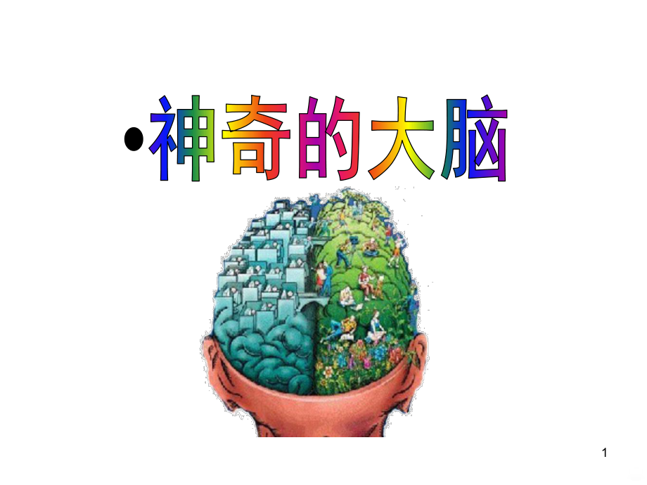 认识大脑PPT课件.ppt_第1页