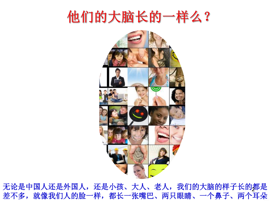 认识大脑PPT课件.ppt_第2页