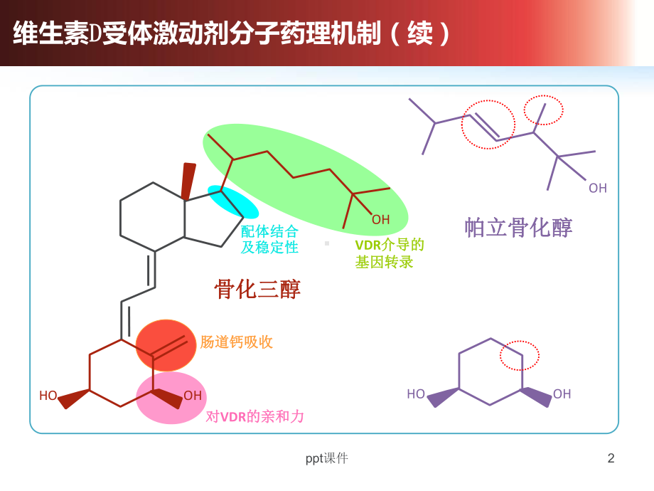 帕立骨化醇作用机制-ppt课件.ppt_第2页