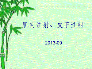 肌肉注射PPT课件(同名458).ppt