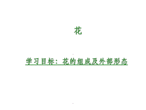 药用植物学完整-花(1)ppt课件.ppt