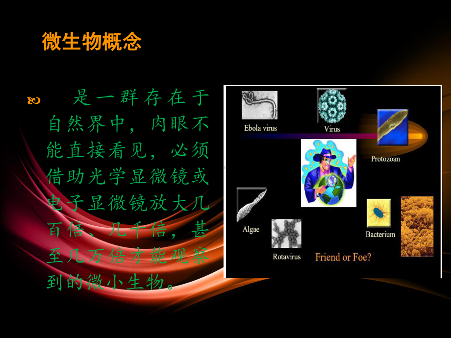 微生物概述-ppt课件.ppt_第3页