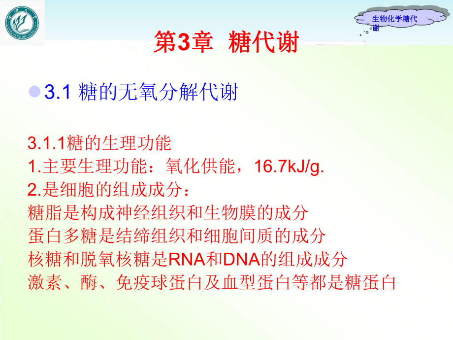 《生物化学》糖代谢-ppt课件.ppt_第3页