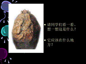 《奇思妙想》课件2.ppt