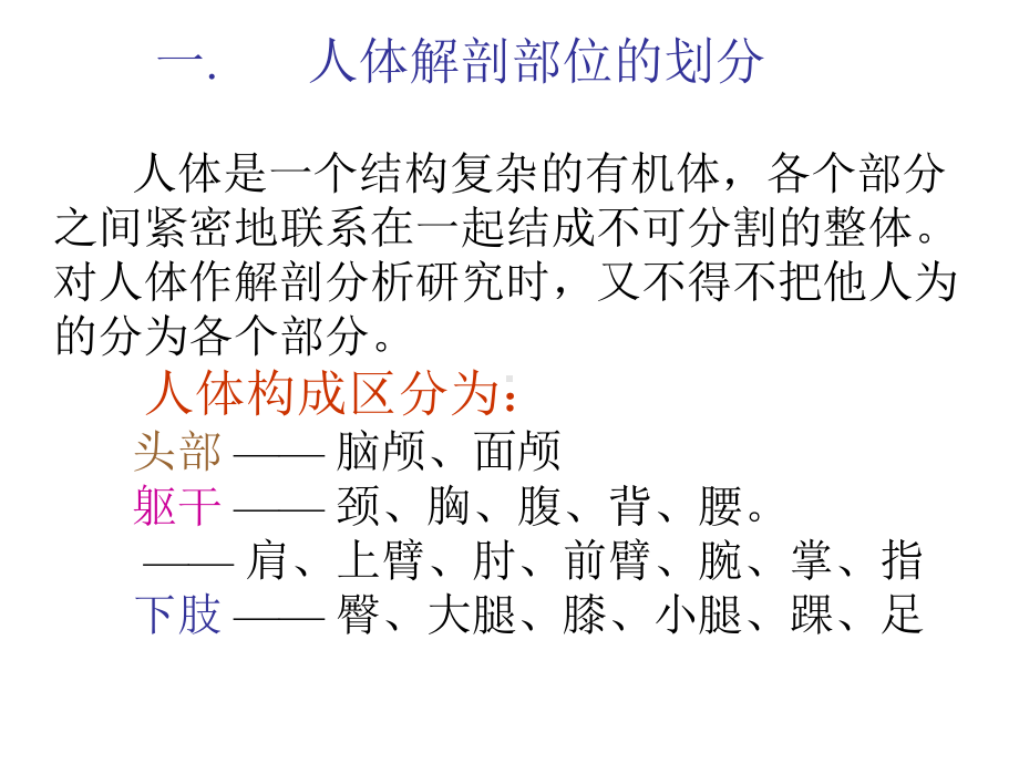 艺用解剖ppt课件.ppt_第1页